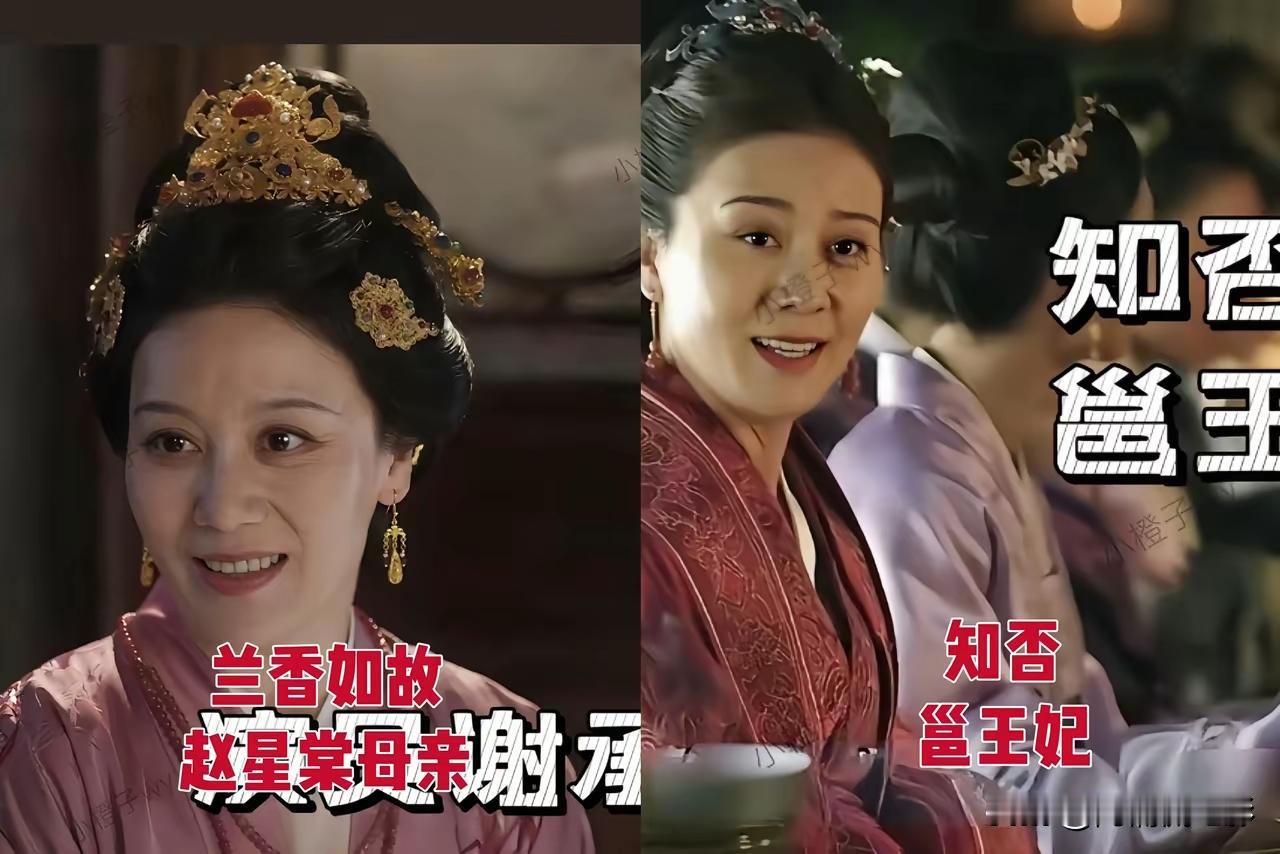 《知否》的选角确实到位，邕王妃的饰演者大气端庄，这气质和气场绝对担得起王府当家女