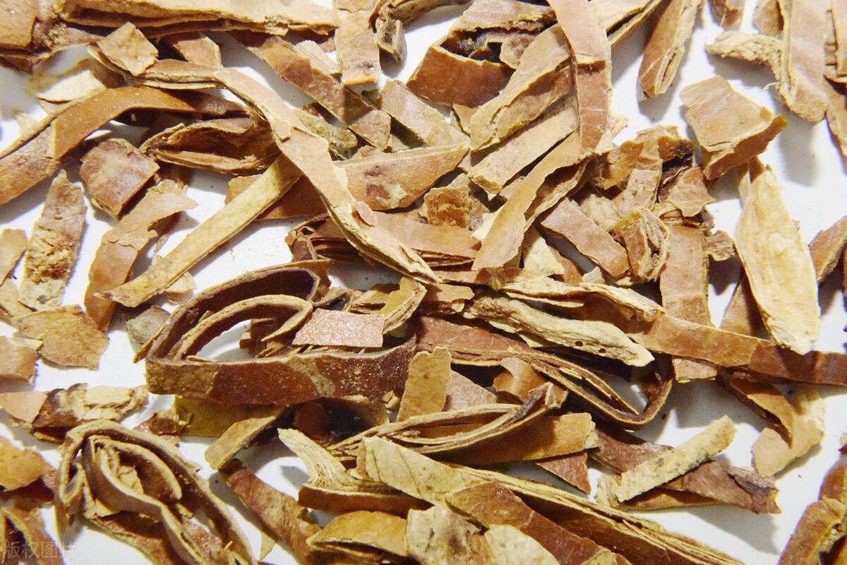 行医60载的恩师说：冠心病，就是痰湿把心“糊”住了！用半夏+瓜蒌消除患者的冠心病