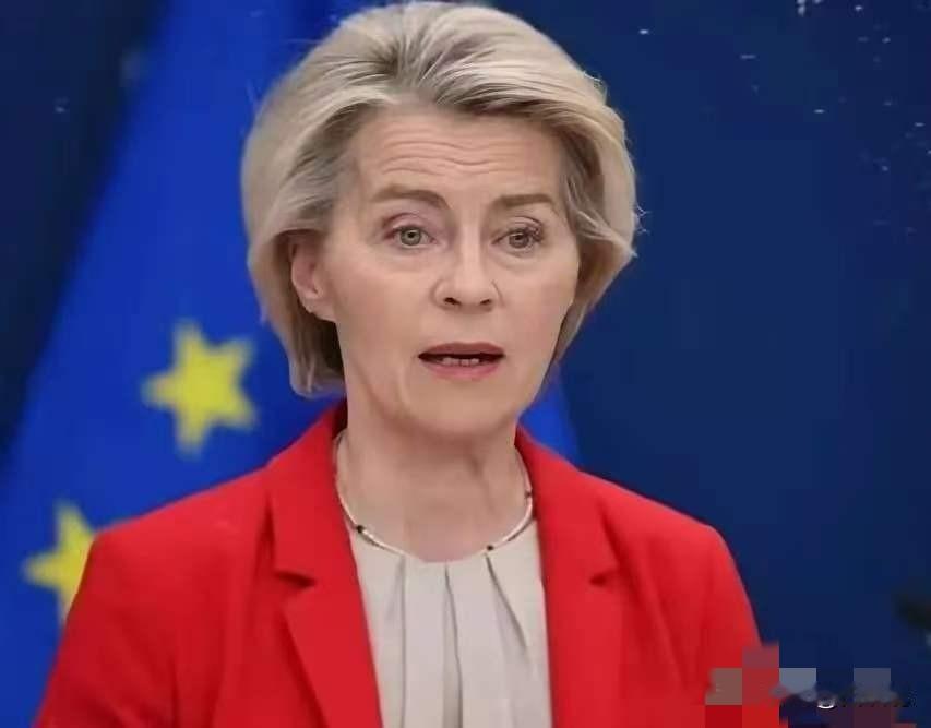 欧盟出手了！4月29日，欧盟委员会正式对科技巨头Meta（脸书、Instagra