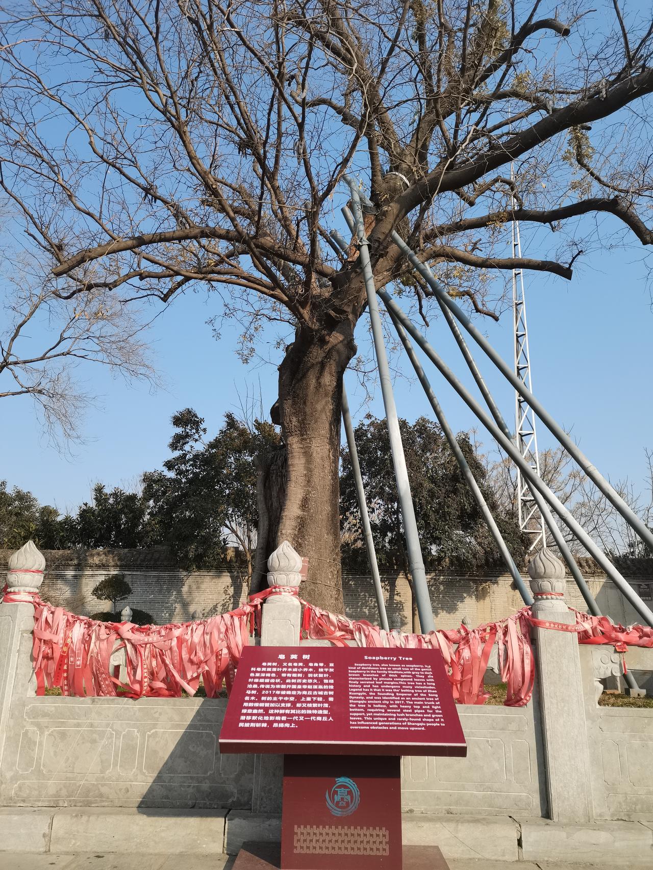 元旦假期，笔者到商丘古城归德府文庙游玩，被一物深深吸引。

穿过庄严肃穆的文庙大
