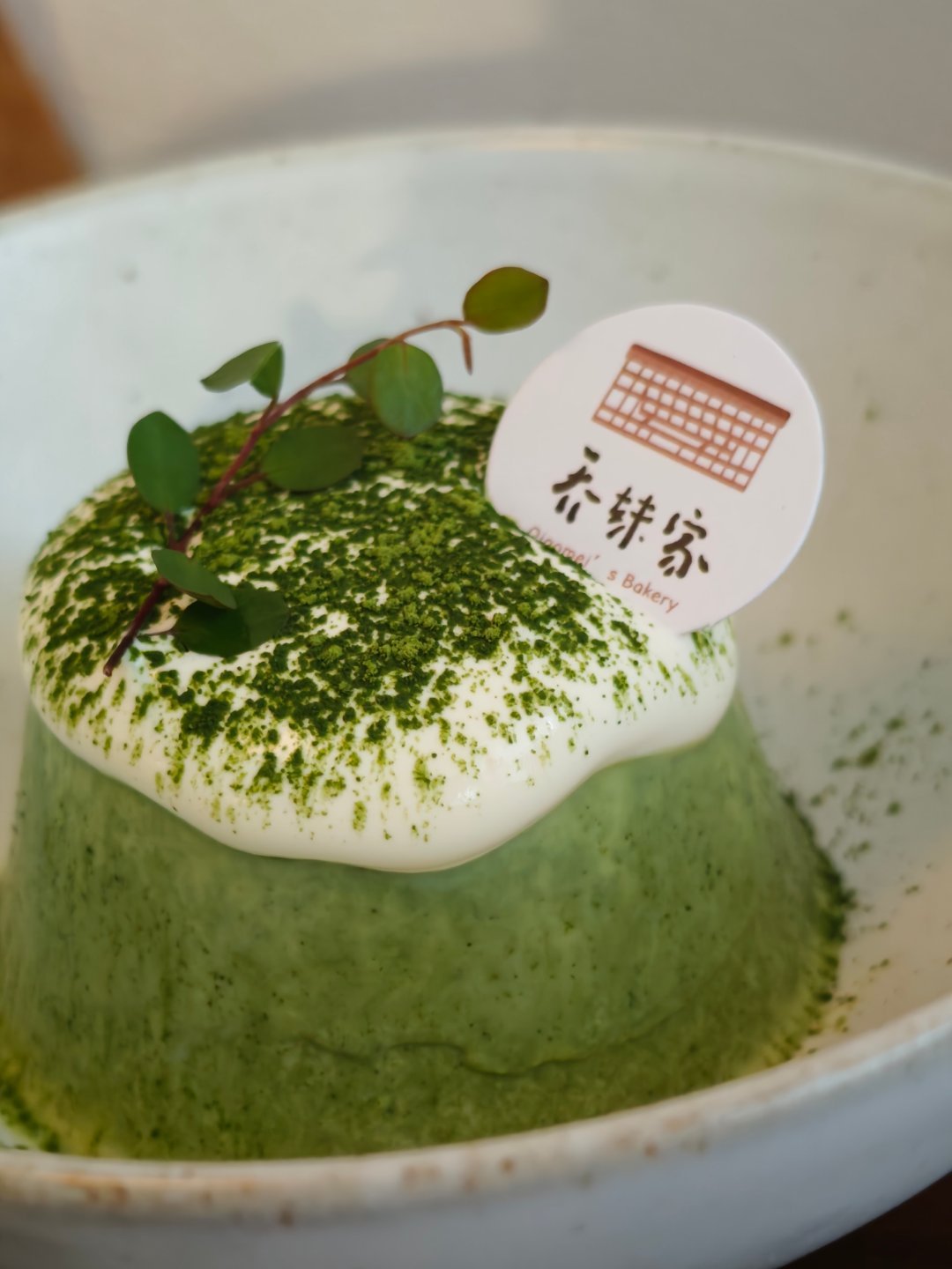我是抹茶脑袋你们知道吗抹茶能抗衰