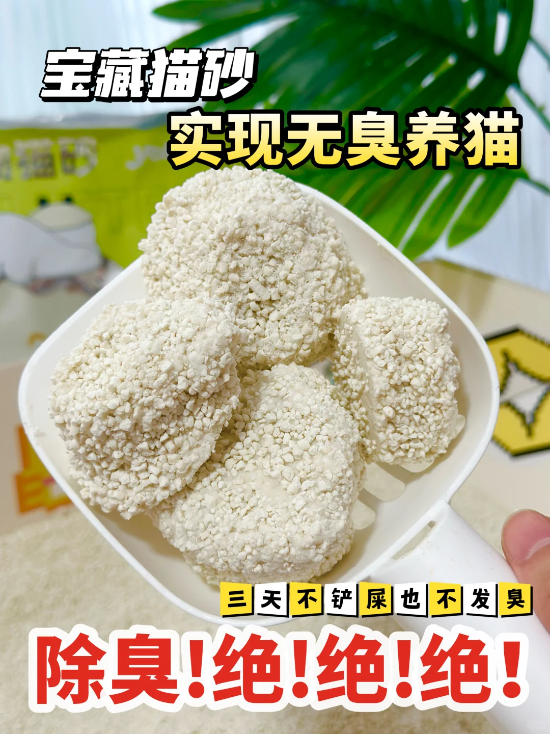宝藏猫砂分享👏都给我冲❗️