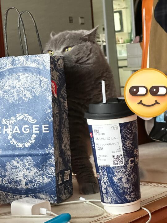 原来这就是传说中的小馋猫