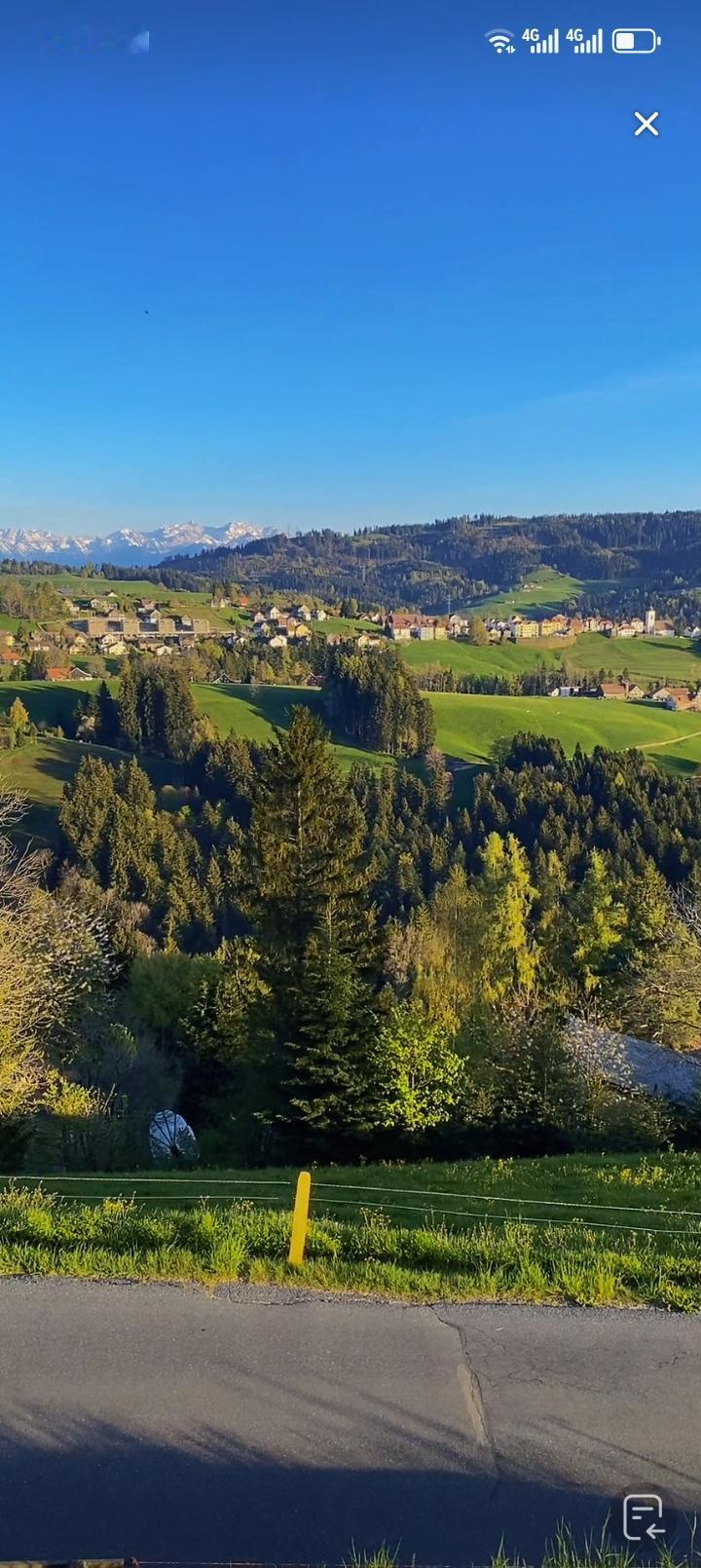 阿坝的流浪狗和我家乡的流浪狗，着实不一样。我家乡的流浪狗，吃饱就走。而这里的流浪