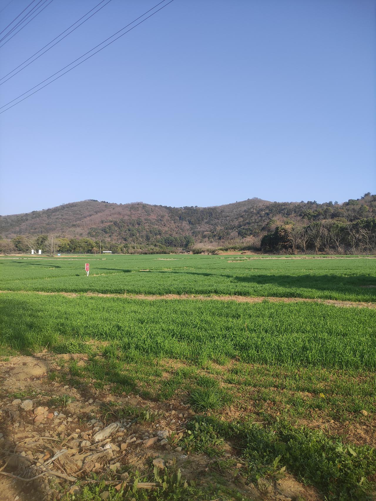 紫微斗数关于化权

化权主权力，主力量，能量上面主上升，所以它也主提拔，主才华，