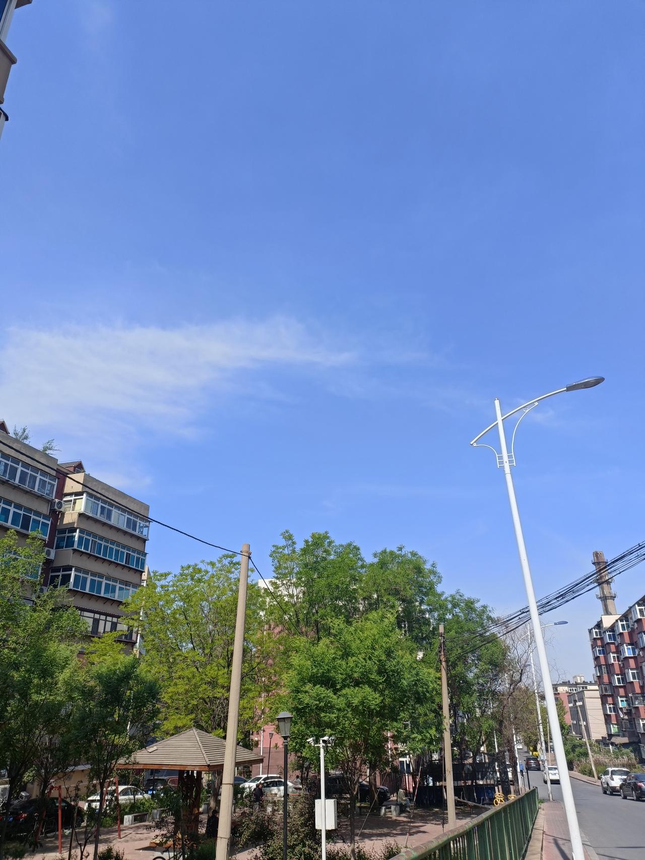 岁月，真是一位无声的老师。年轻时，我总纠结于各种选择，像半夜反复琢磨某个决定对不