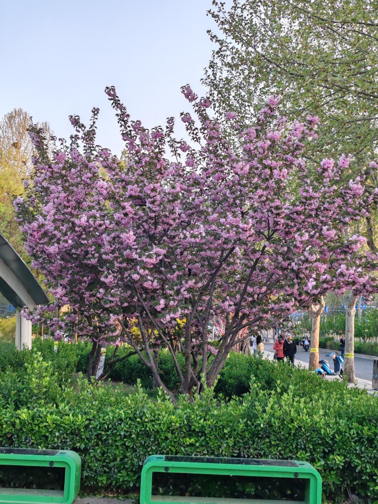 除了家人，其他人对你家人的生死，只是礼节性的表示悲伤，没有家人那撕心裂肺的痛。当