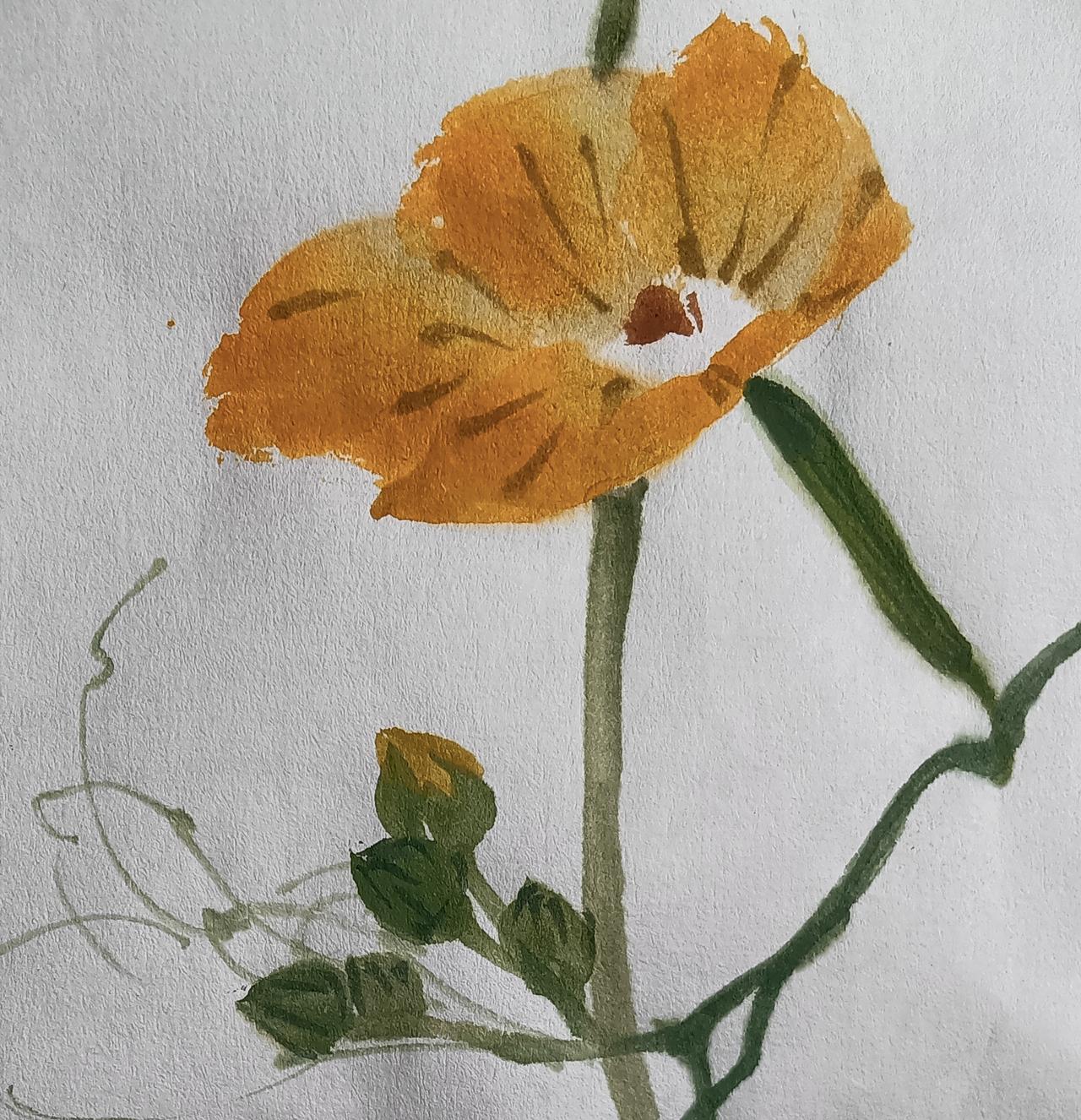 丝瓜花