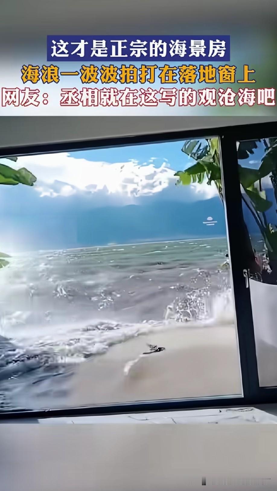 时间长了，玻璃就会被海藻附着，然后慢慢变绿，还不好清理[捂脸]