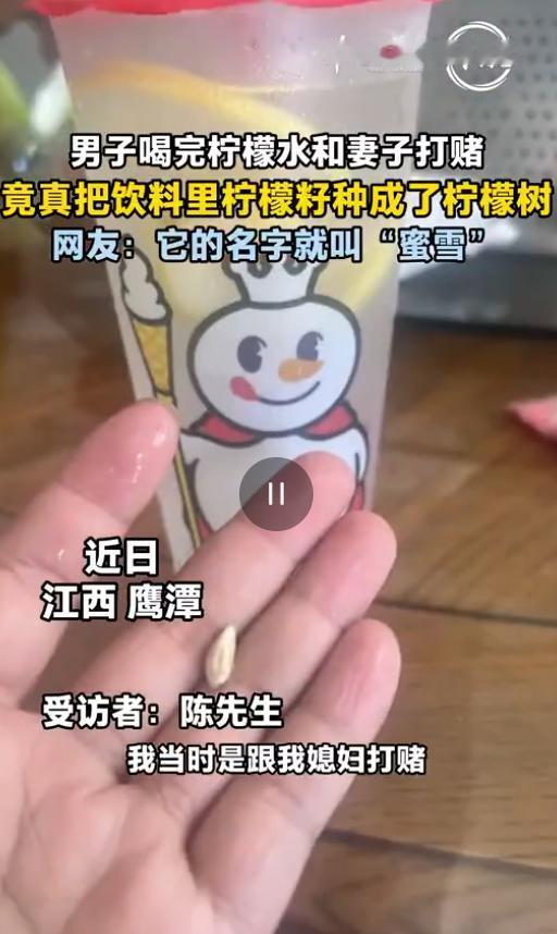 万万没想到！8月7日纵览新闻报道，江西鹰潭，男子喝完柠檬水，发现杯底有颗柠檬籽，