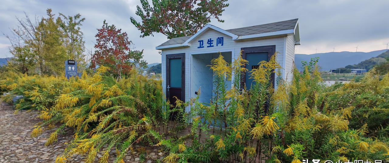 水车白溪村的景观带，三年前还拍宣传片，现在厕所没灯没水，苍蝇比游客多。
钱花了