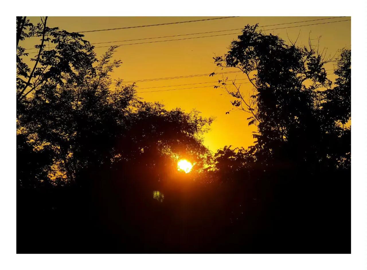 深秋感怀

西风几度伴清秋，
落叶飘零逐水流。
夜静更深人不寐，
孤灯瘦影月如钩