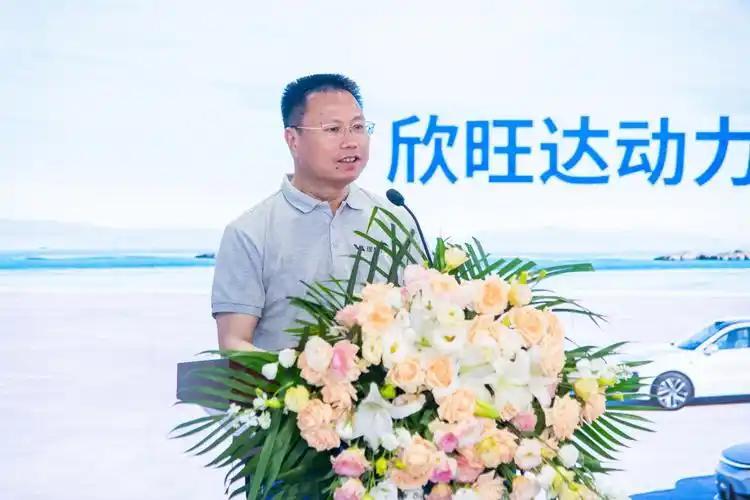 蛰伏 30 年！欣旺达拿下手机电池全球第一，凭什么突围？在国内电池产业里，欣旺达