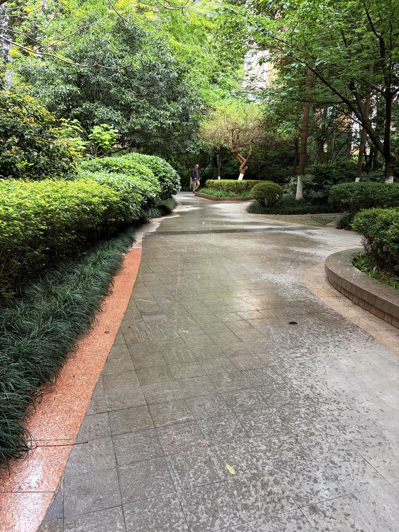 康复日记｜雨雾晨光里，我把步子又往前挪了挪

日期：2026年4月22日 星期三