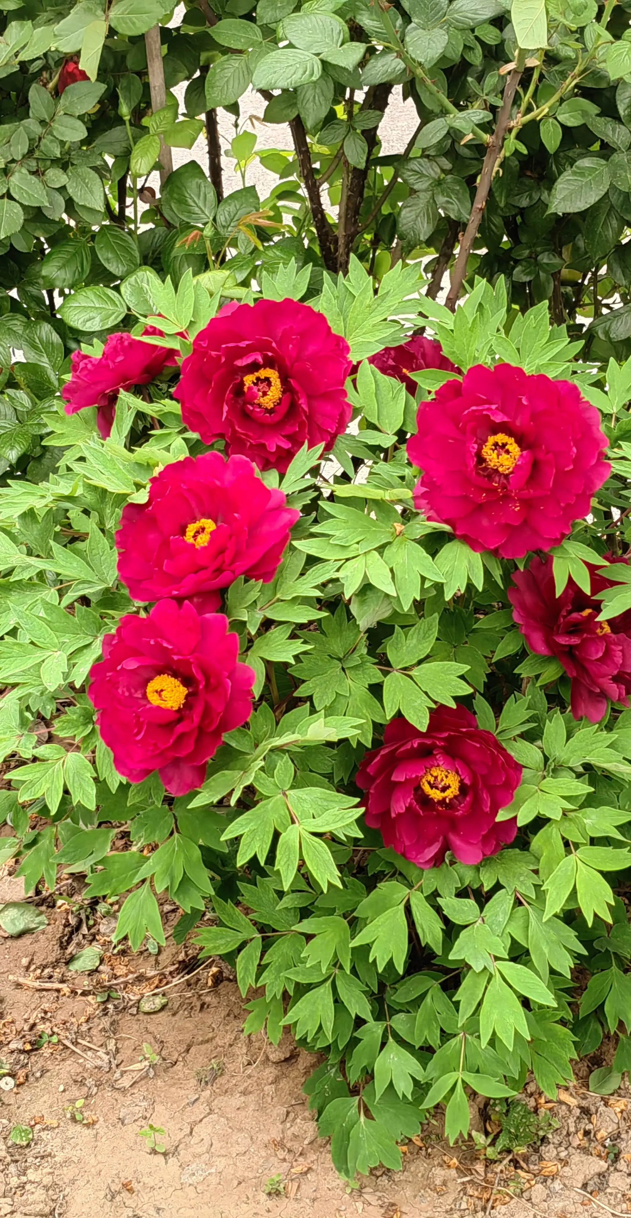 有喜欢喝酒的人吗？回应一下