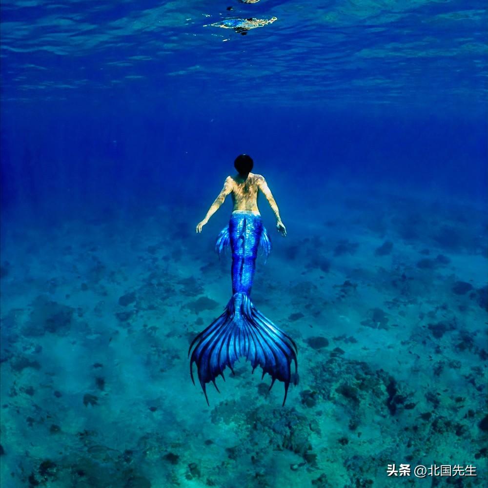 东西方神话里的女性命运。

西方神话童话里，
白雪公主、灰姑娘、小美人鱼……
最