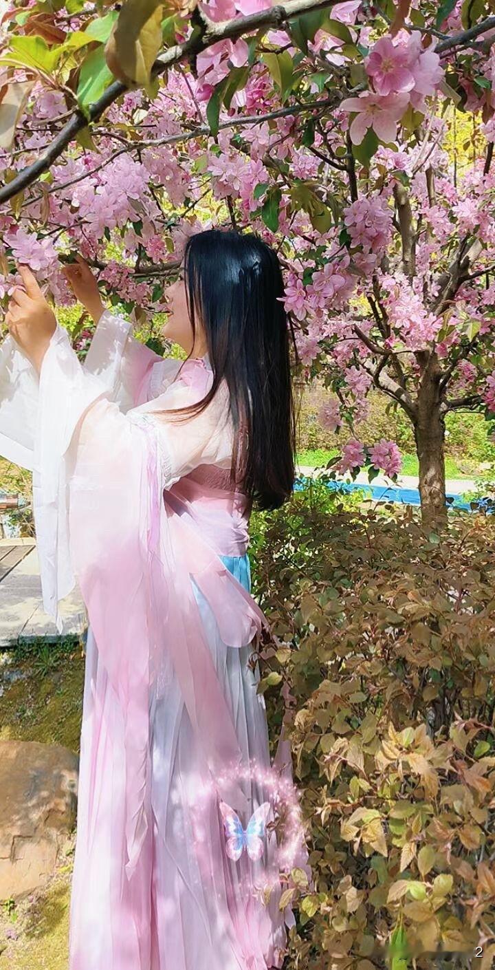 闲咏.海棠
海棠含羞沭清风
粉黛芳枝迷双瞳
愿做花间闲看客
醉了春色解心情
七言