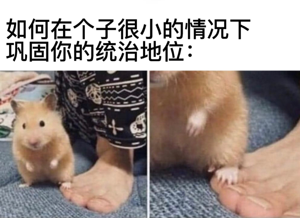 踩在脚下#今日memes# //#新年快乐漫游指南# ​​​