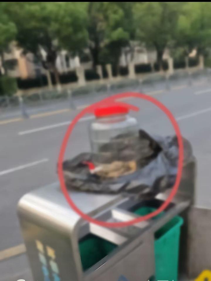 浙江，一男子走在街边，路过一个垃圾桶时，突然，一眼看见桶顶上面摆着大玻璃罐，隔着