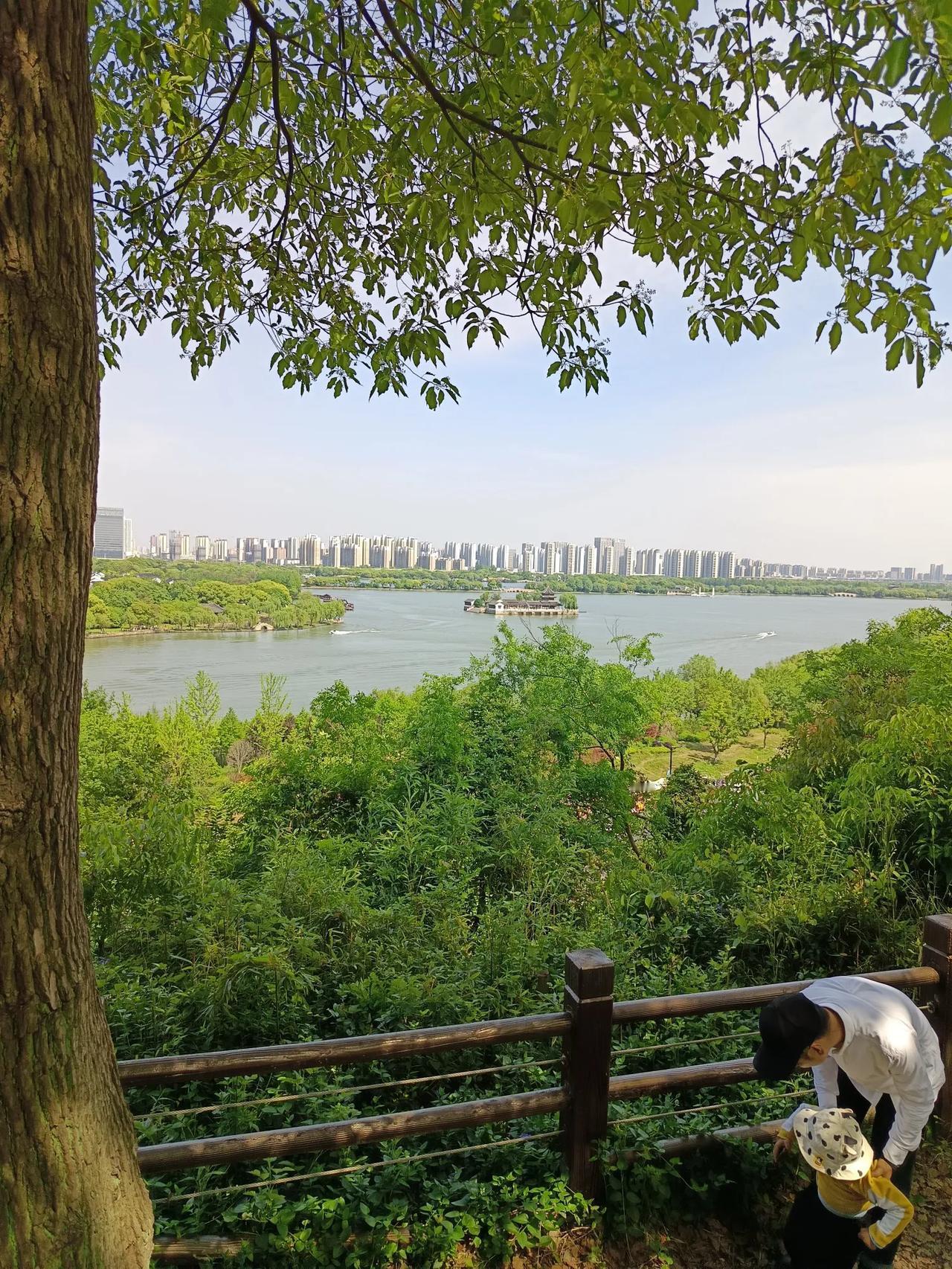 绿树成荫，水波荡漾。#秋日湖畔美景！# #随手拍南湖风光#