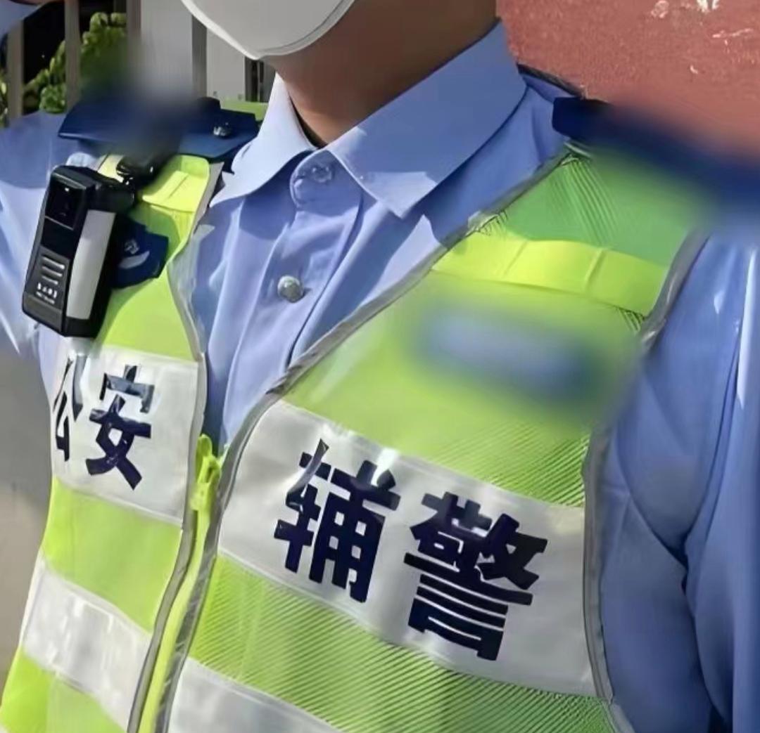 辅警在岗位上遭人辱骂，若辱骂行为伴有暴力、威胁或严重阻碍其依法执行职务，可按妨害