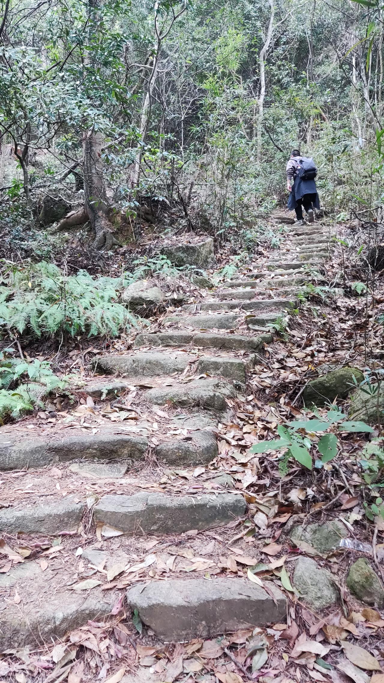 A股春季行情或提前开启，投资机会来了！

随着春天的脚步临近，A股市场也迎来了新