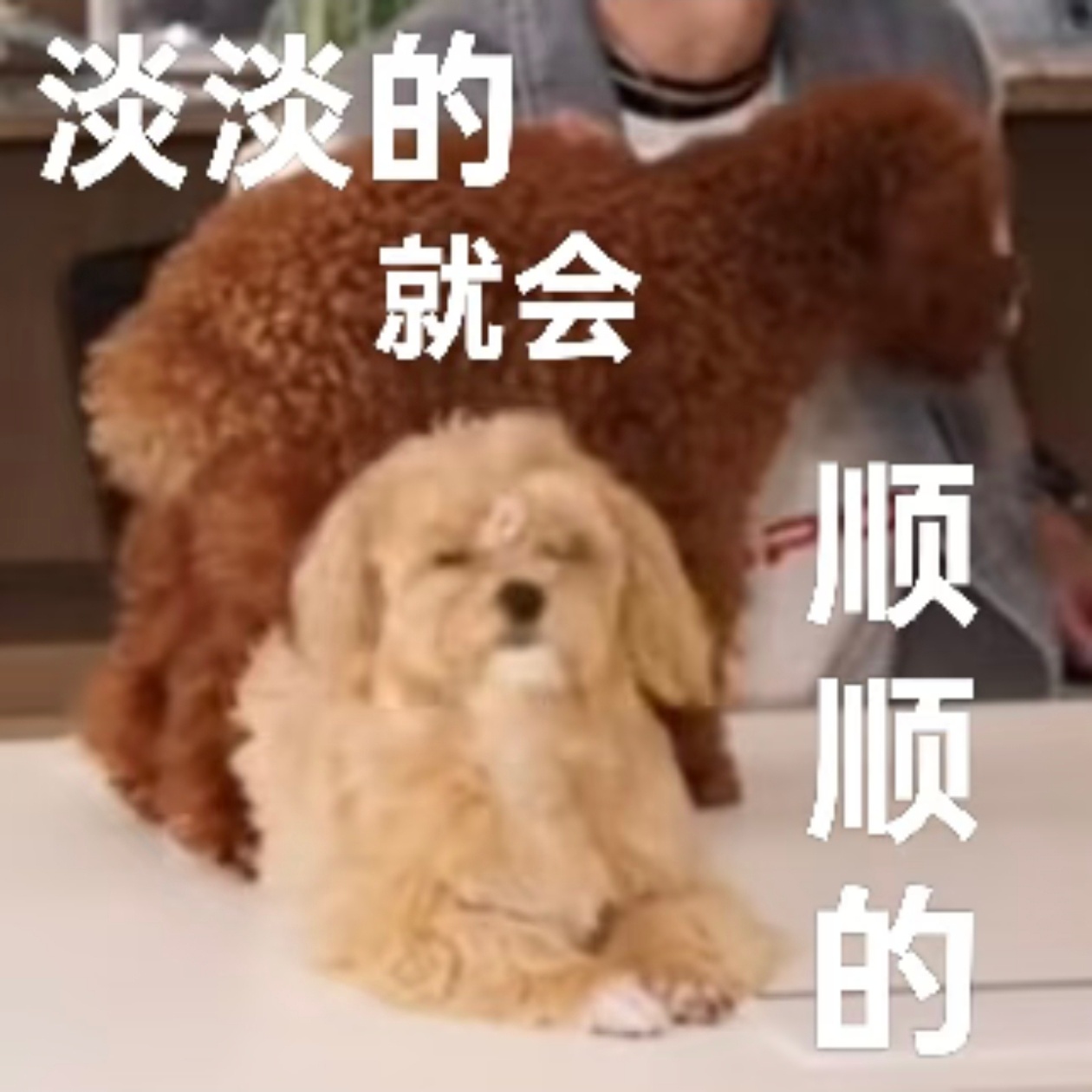分享图片 