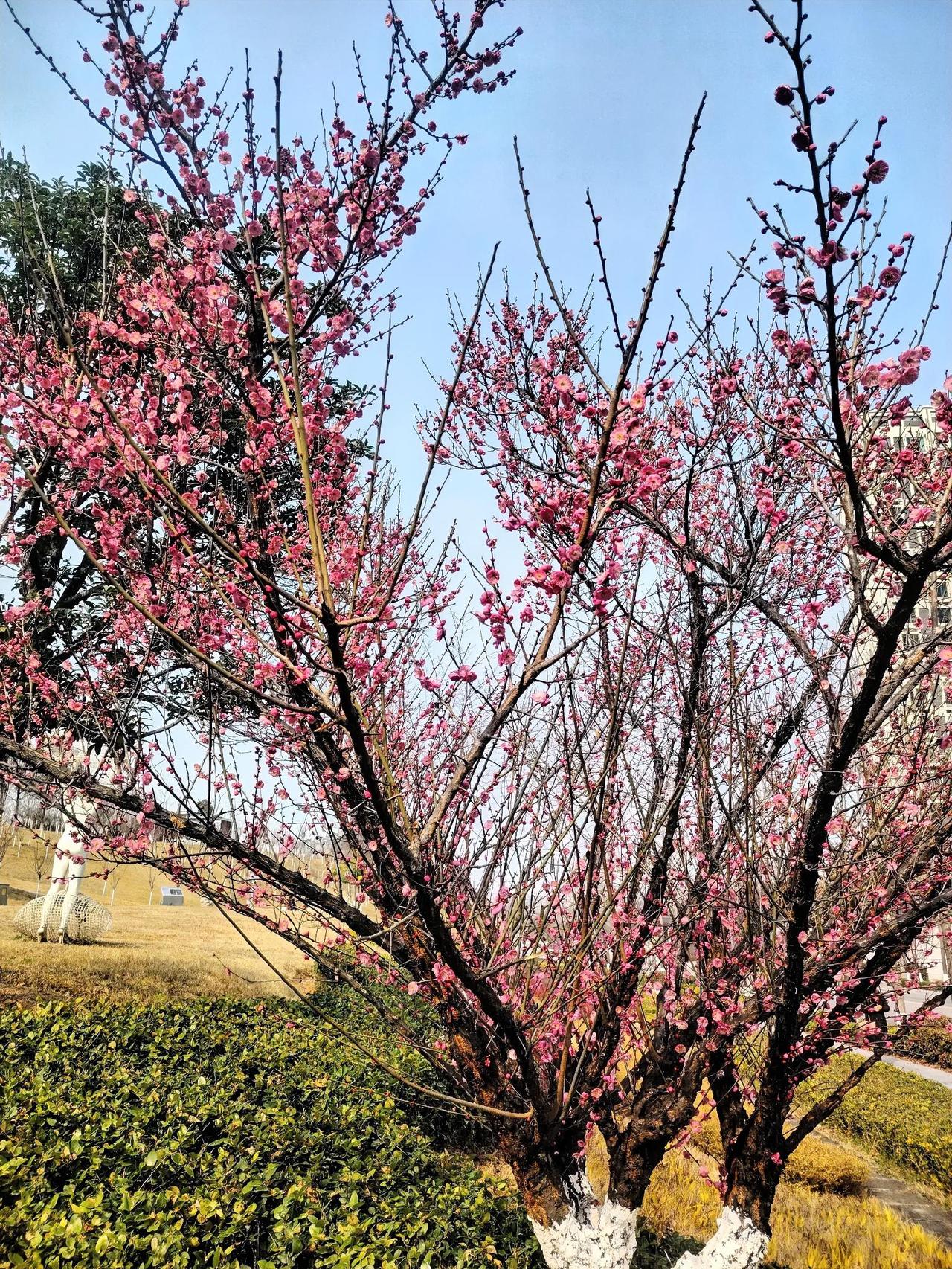 你知道吗？

为什么有些人会短命？

因为说话尖酸刻薄，无情无义，自私自利，处处