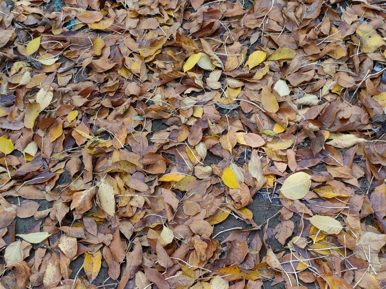 日本反华为什么最近嚣张起来？高市早苗骨子里反华不假，但作为日本首相没那么愚蠢，她