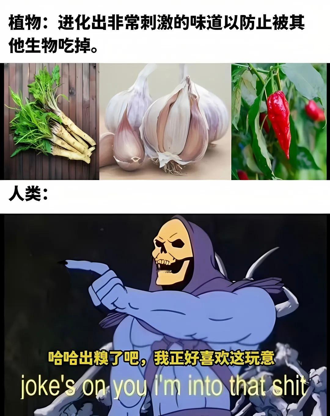 都是我爱吃的meme ​​​