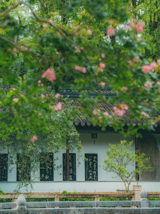 比起沧浪亭，我更爱一街之隔小众安静的文庙