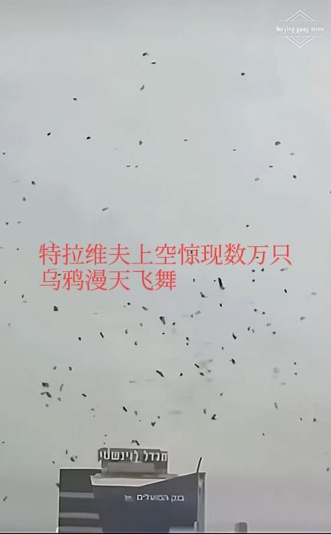 不祥之兆？特拉维夫上空惊现数万只乌鸦漫天飞舞，场面着实吓人！在中国，乌鸦成群出现