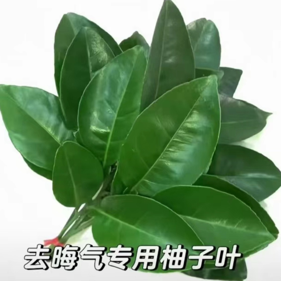 谢谢 