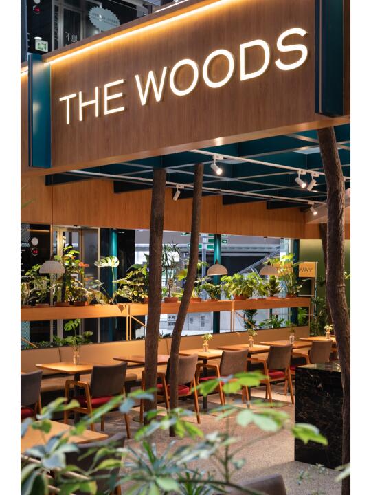 光影、森林、城市对话，重新定义自然美学