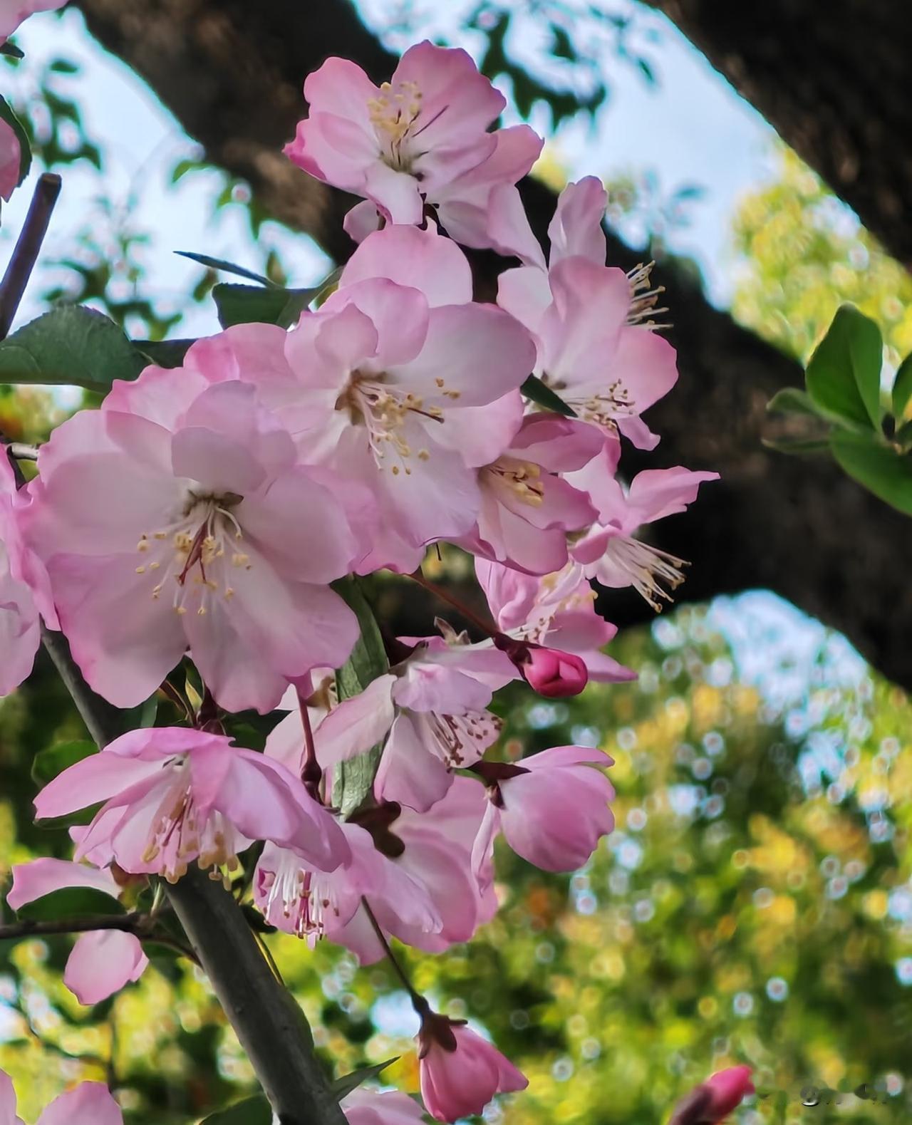 想短时间变有气质真不难，
不用花钱也不用久等。
 
衣着干净整洁，
站直别驼背，