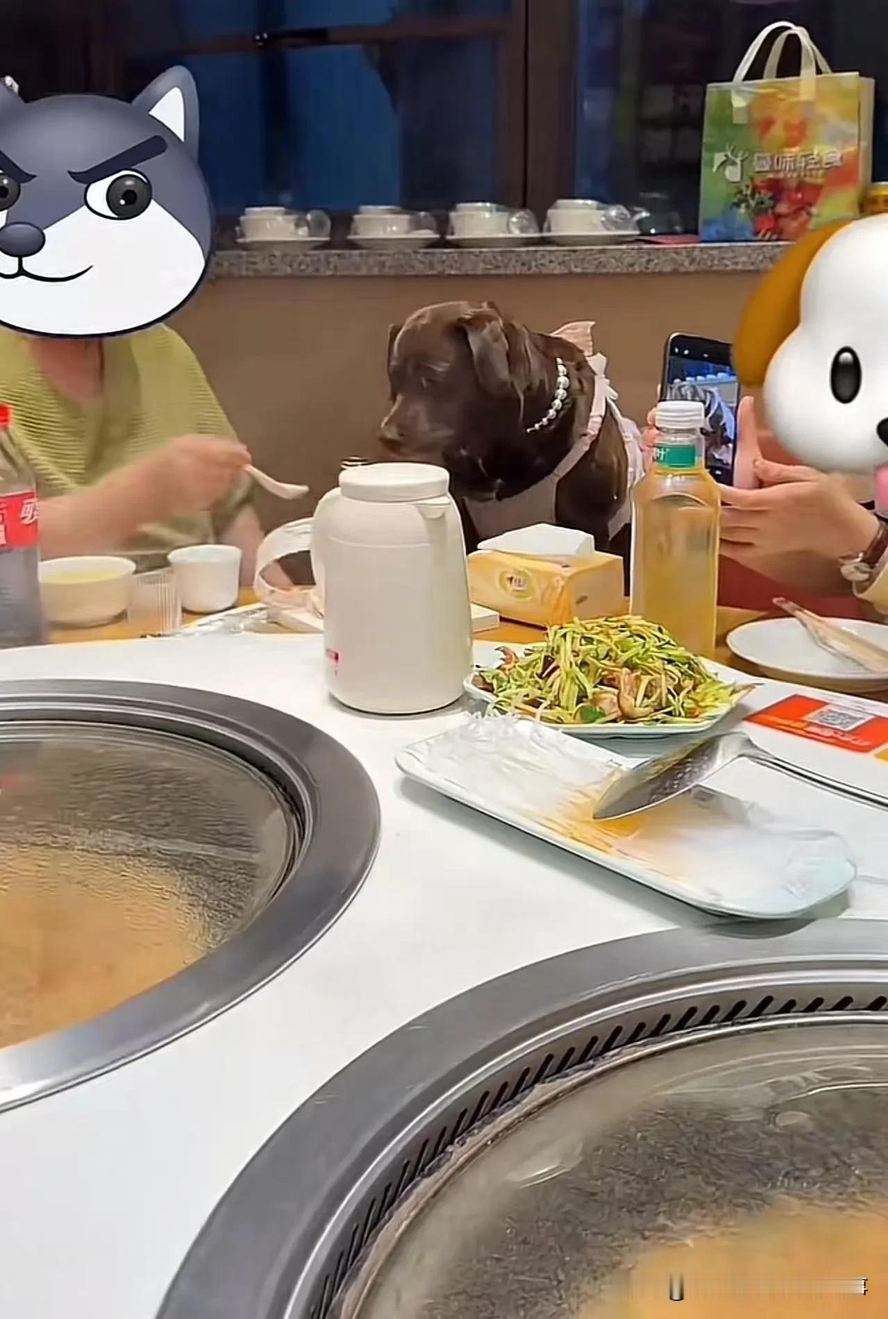 天津饭店狗狗生日宴事件（4.23）
 
4月23日，天津门家大院铁锅炖包间内，女