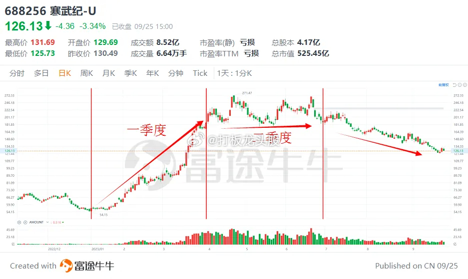 寒武纪，2022年收入7.3亿，净利润亏损12.5亿，在人工智能概念下市值炒到1