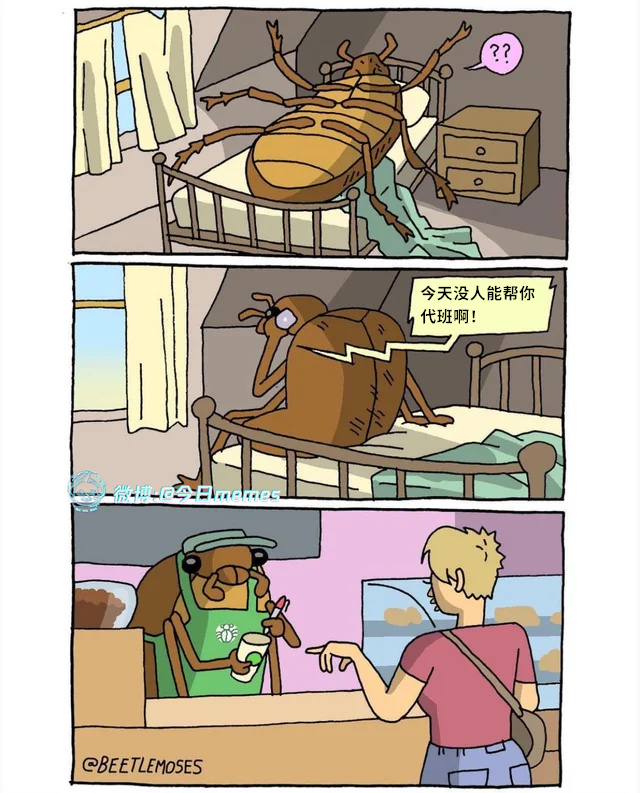 暴打6颗柠檬（Beetlemoses）今日meme 今日memes