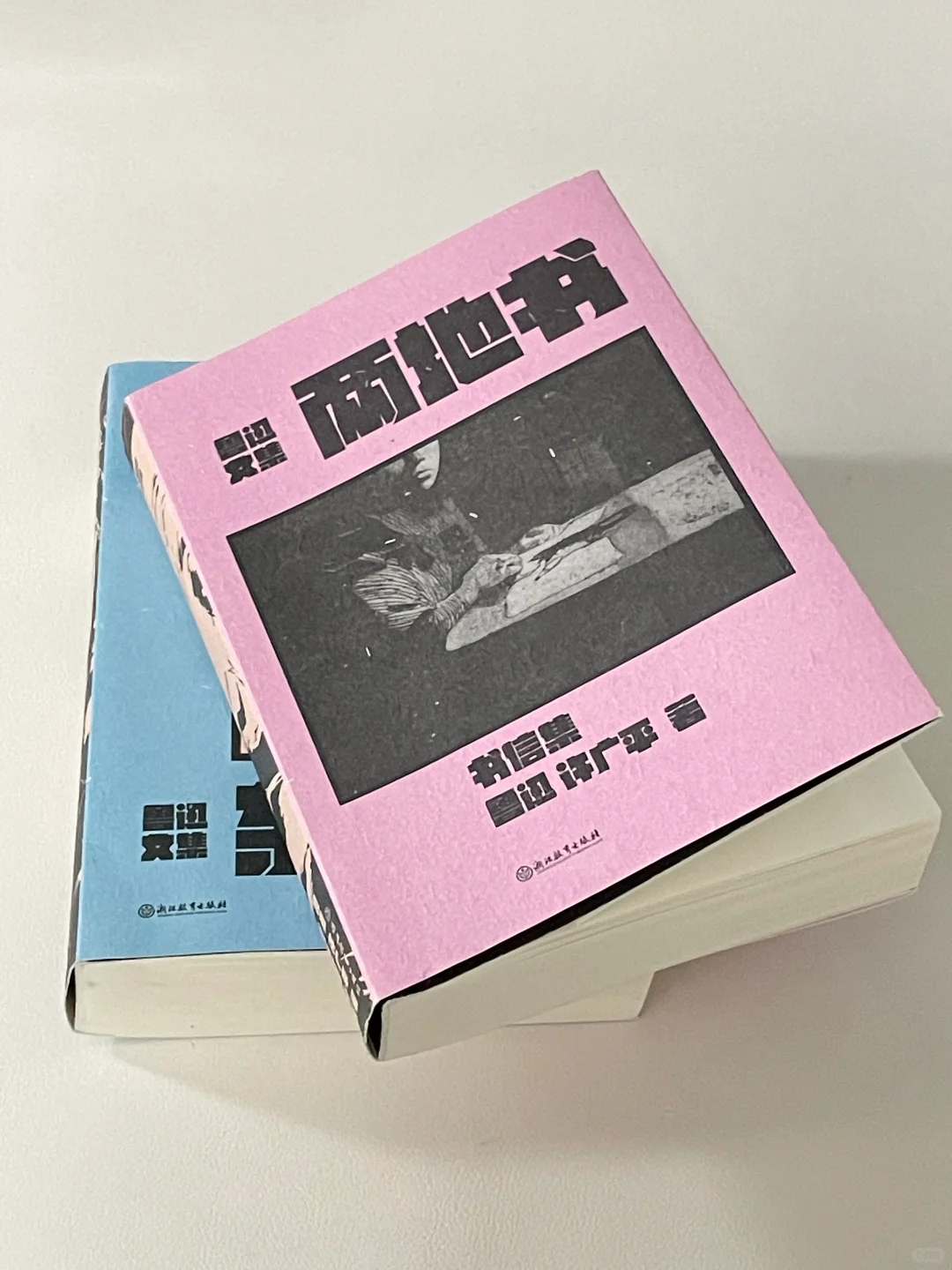 幼时的我以为，伟大学者的心里是没有爱情的