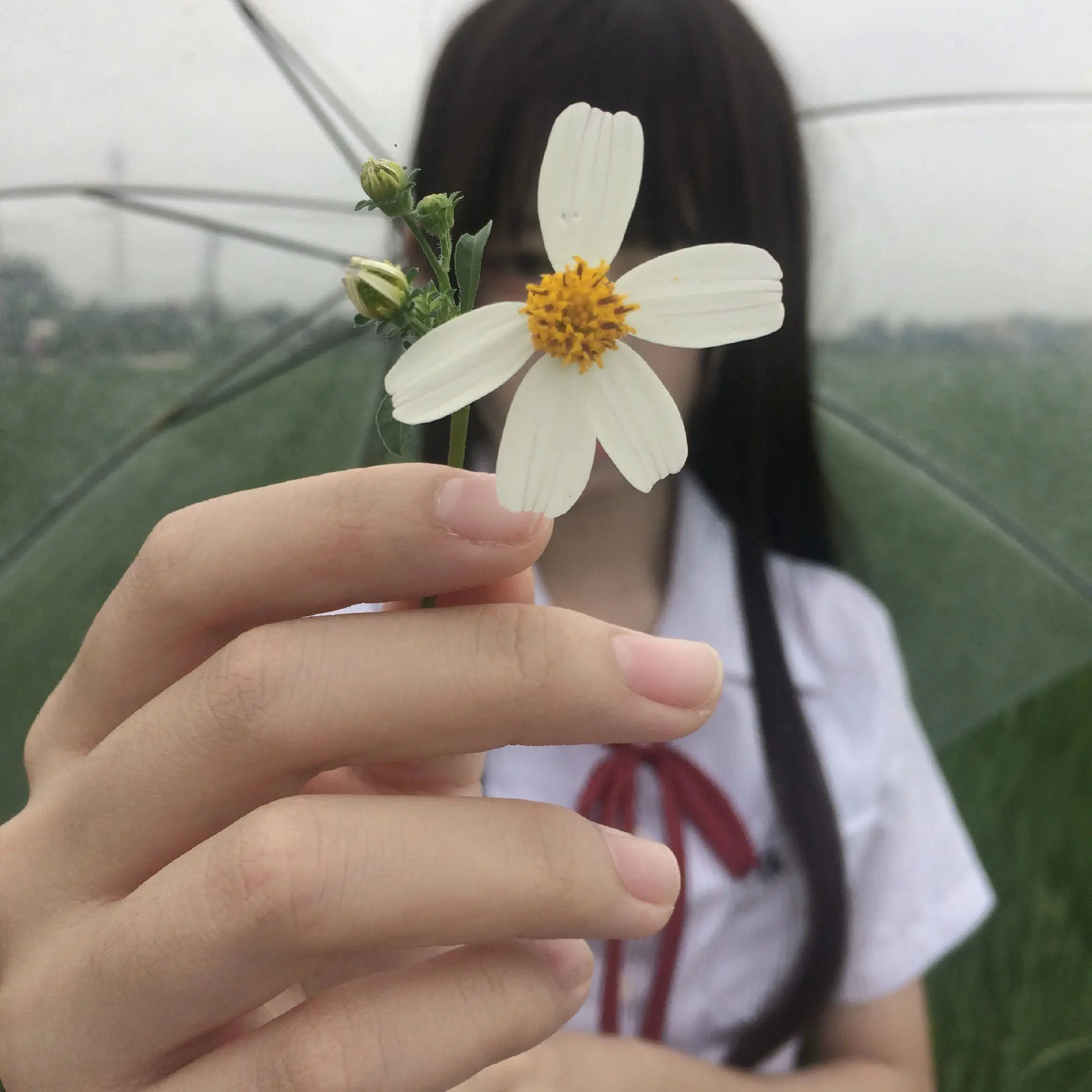 刻意去找的东西，往往是找不到的，天下万物的来和去，都有它的时间。