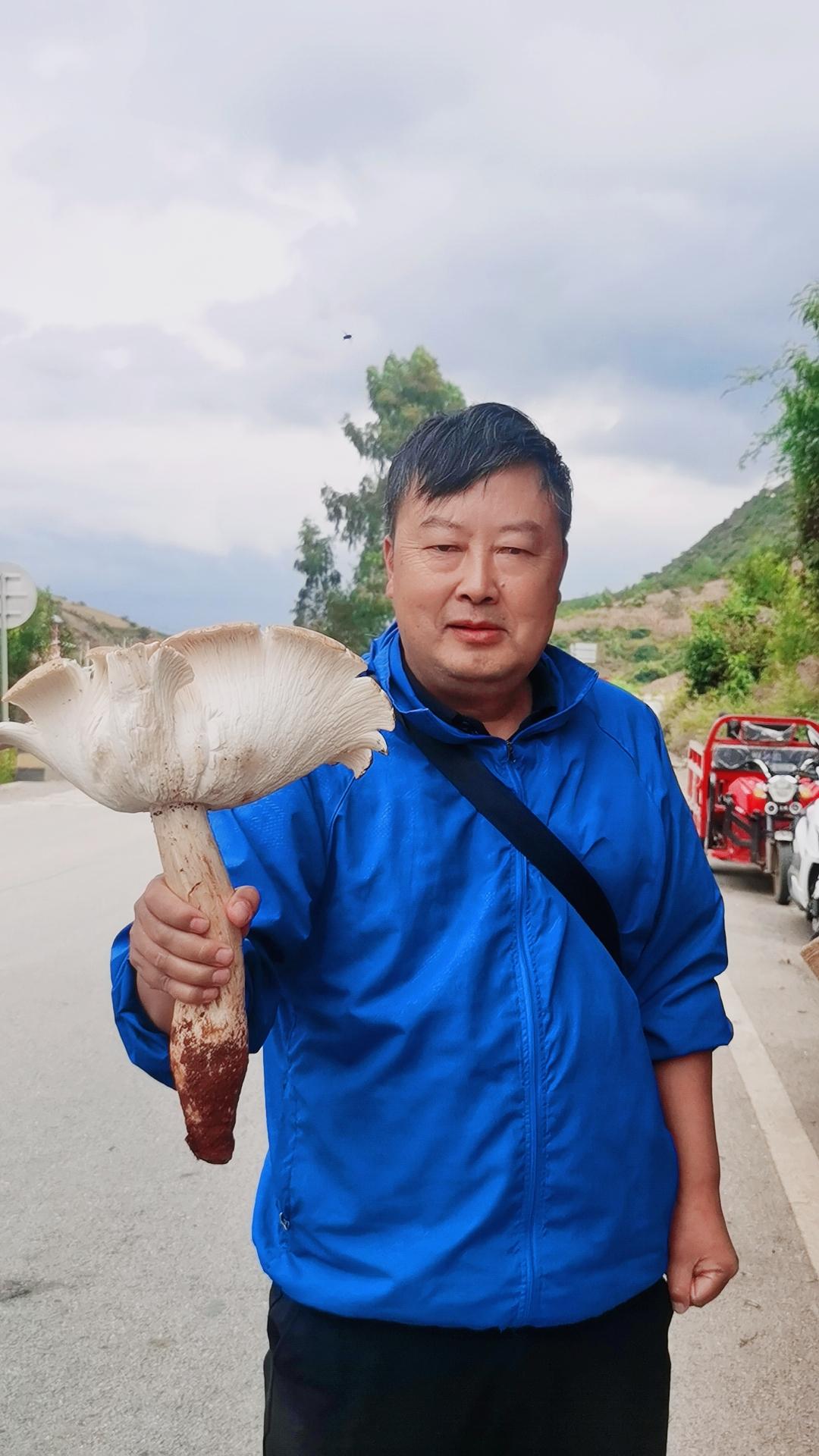 鸡㙡菌肉厚肥硕，质细丝白，味道鲜甜香脆。#鸡足山秘境 #鸡足山万导 #北京#上海