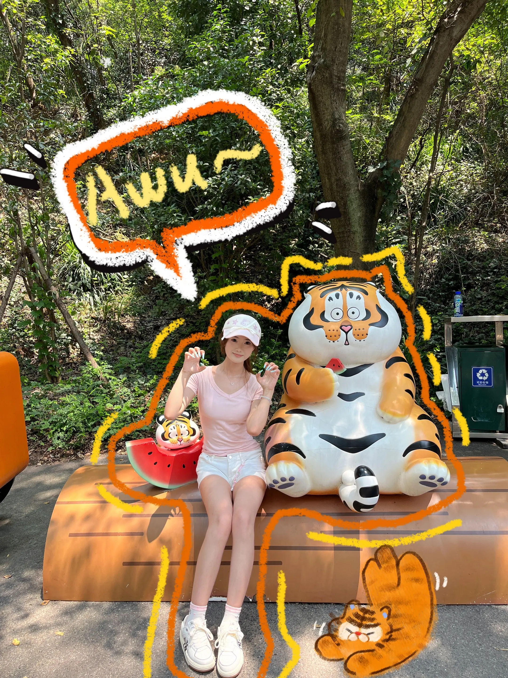 猫猫小狗的旅程