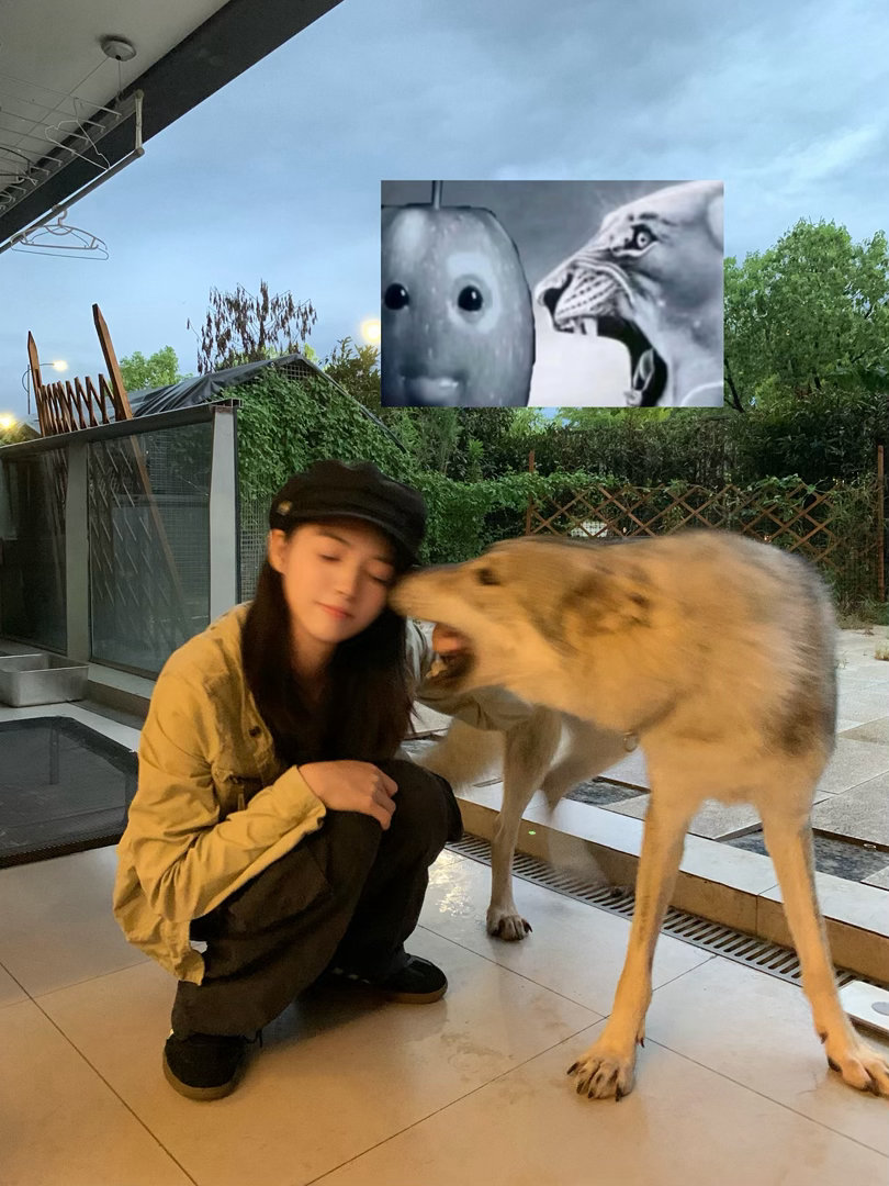 一年一见的我的干儿子小金金 ​​​