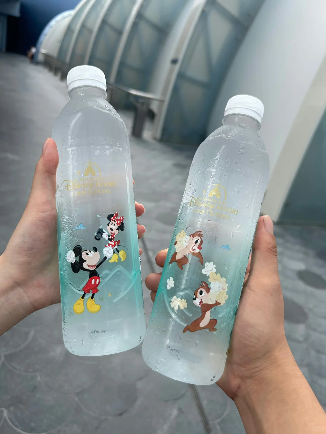 8🈷️19日迪士尼乐园人流量，预测预计5.6万‼️