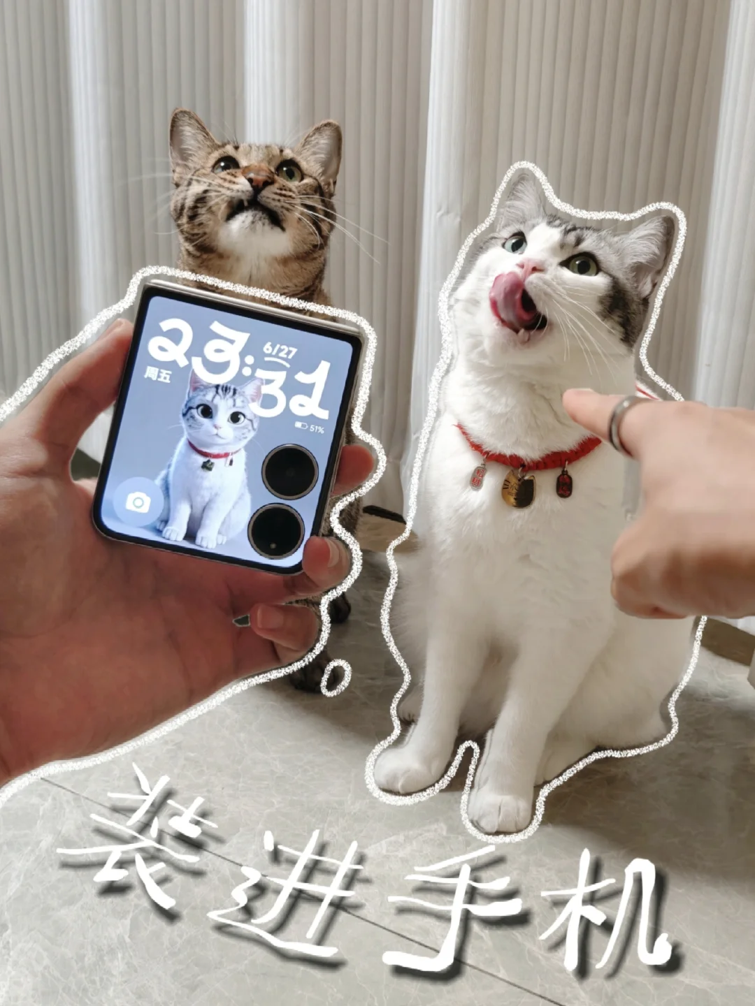 报告🔥我找到把小猫装进手机的方法了🐱