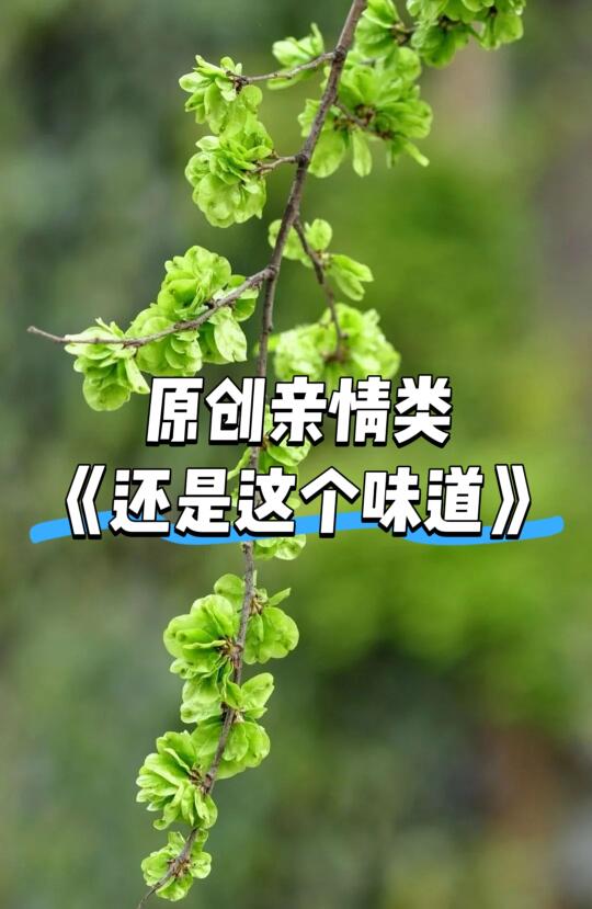 《还是这个味道》高分范文（原创亲情类）