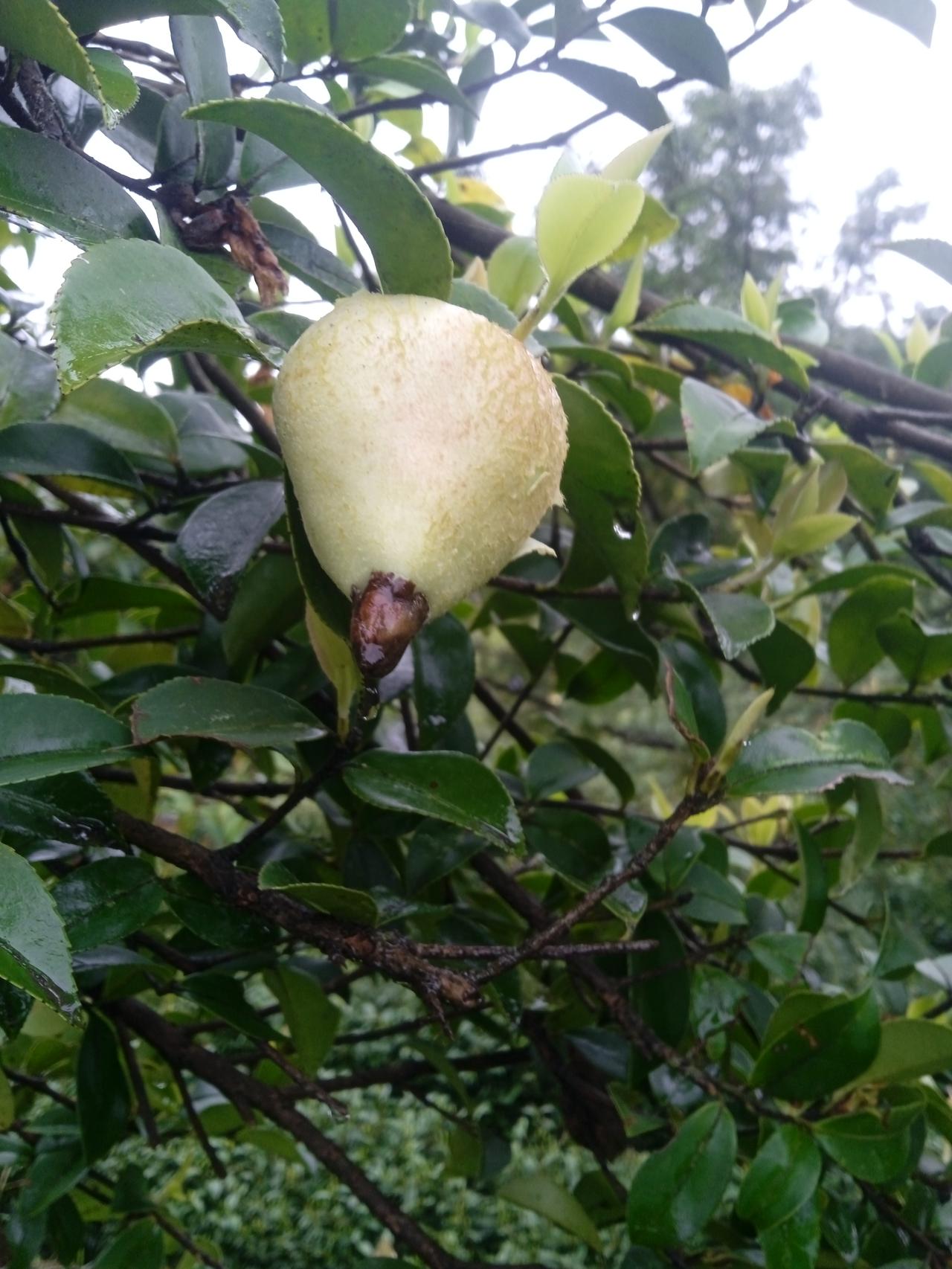 “这个世界上没有真正快乐的人，只有想得开的人，世间万物都在治愈你，只有你不肯放过