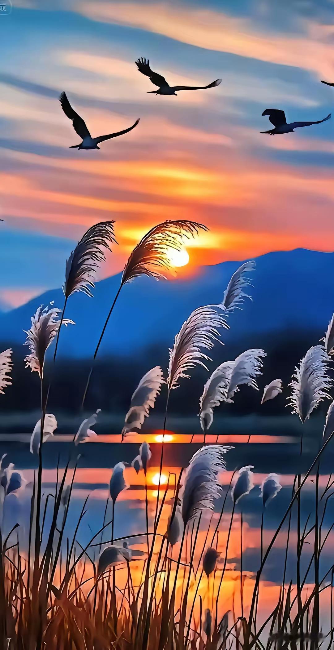 夕阳西下，飞鸟归巢，静谧湖畔，唯美如画。