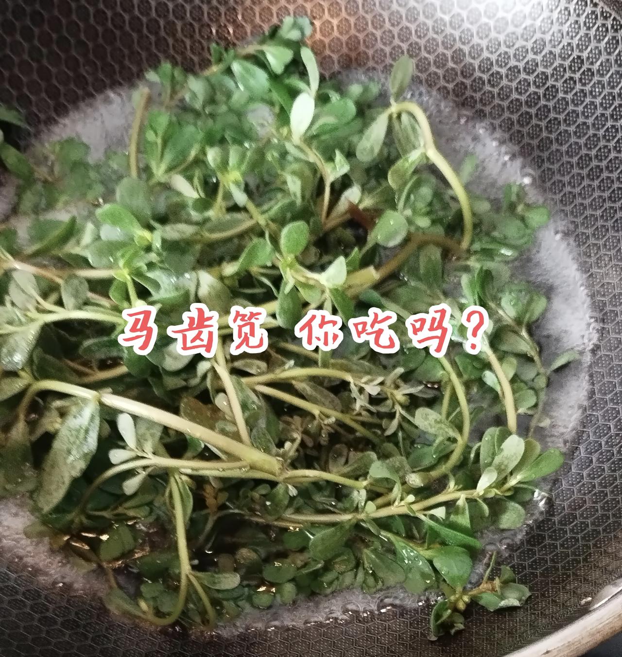 癌了，你得不到好中医。
告诉你中医就是让你的身体调和不互相矛盾，扶正固本，升清降