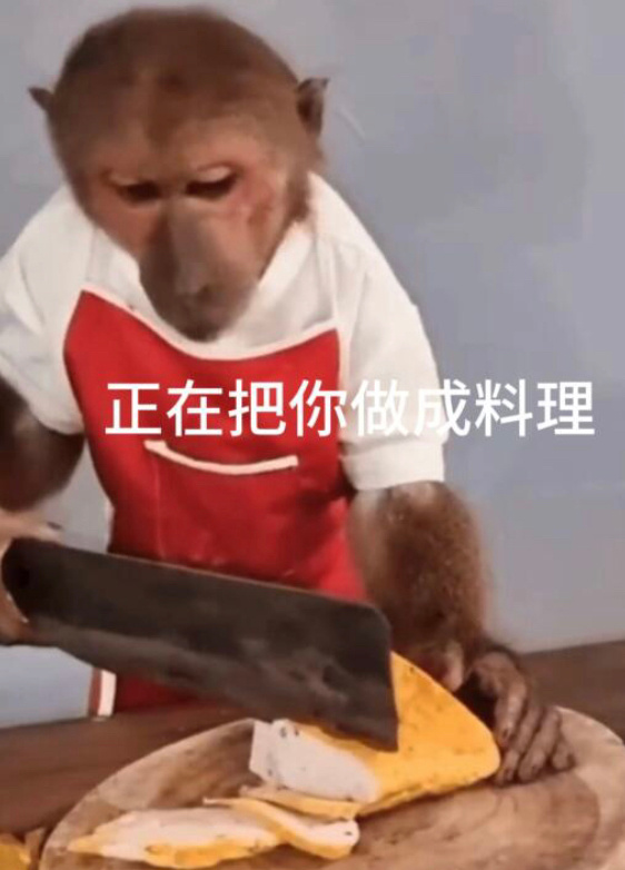 今天的表情包 ​​​